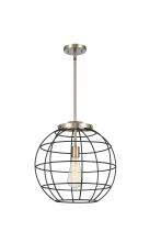  221-1S-SN-CE-16-BK - Lake Placid - 1 Light - 16 inch - Satin Nickel - Pendant